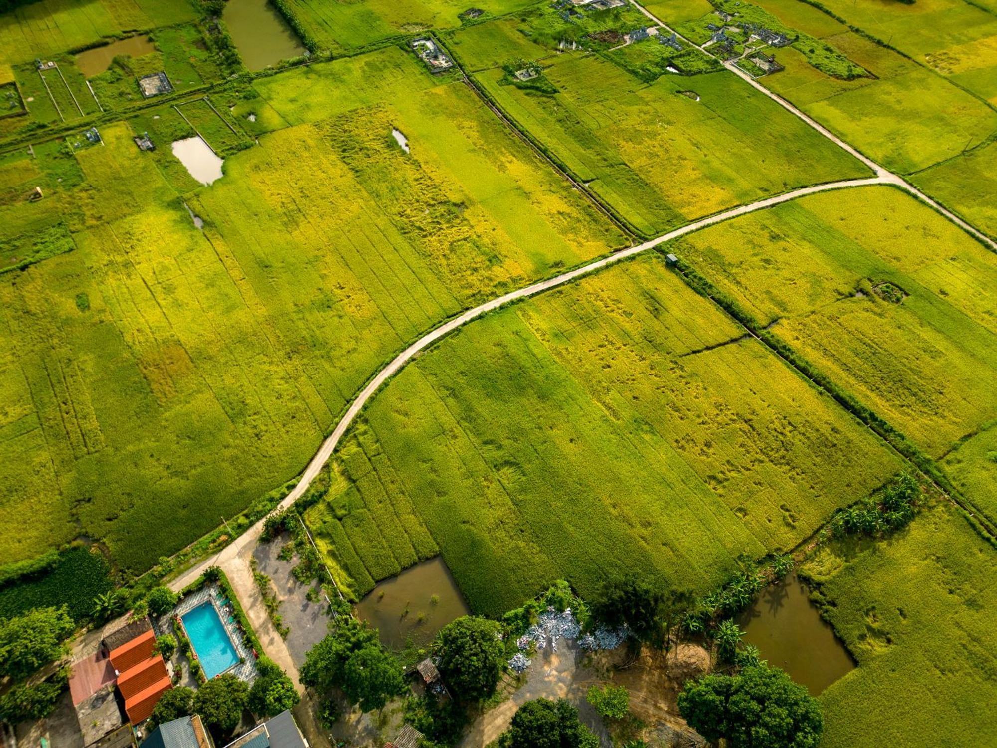 Tam Coc Minh Hung Homestay Ninh Binh Exterior foto